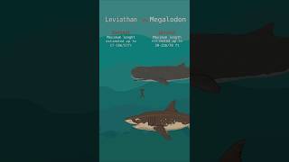 Megalodon vs Leviathan Prehistoric sea monsters size comparison [upl. by Irita291]