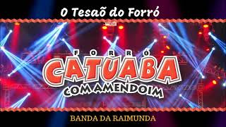 Catuaba com Amendoim  Banda da Raimunda [upl. by Ardnahcal]