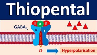 Thiopental  An IV anesthetic [upl. by Orlando477]