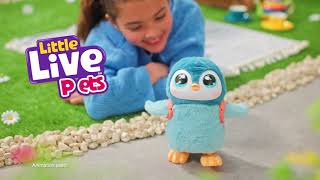 Little Live Pets My Walking Penguin Waddles Interactive Pet [upl. by Seena]