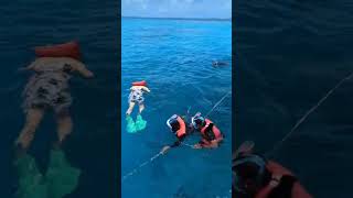 Maldives maldives tour tourism world travel travelvlog [upl. by Evadnee998]