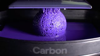 Insanely Beautiful 3D Printing Time Lapse [upl. by Ythomit]