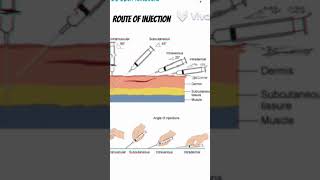 Different route of injection administration of drugs route injection shorts 3danimation viral [upl. by Atworth]