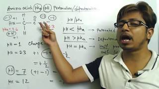 Amino acid charge at different pH and amino acid titration calculation problems [upl. by Scheck]