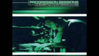 LTJ Bukem Progression Sessions 3 Track 10wmv [upl. by Marve]