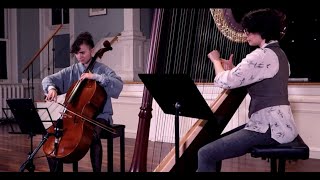 Michael Harrison Raga Prelude in Yaman Kalyan for cello and harp [upl. by Certie]