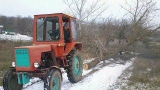 Заготовка дров ☆ Владимирец Т25 and Expert GS4500 в помощь [upl. by Noyerb177]