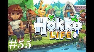 Hokko Life Ep55 Farm area update Chickens amp Ducks Orchard [upl. by Eizle164]