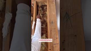 Secrets to Eliminate Termite Infestation [upl. by Ecirtram]