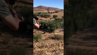 chasse hunter hunting chasseur wildboar sanglier caccia al cinghiale [upl. by Ennaj]