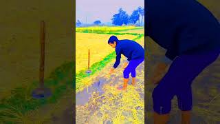 Diva pay Diva Diva ma alu  punjabisong punjabi viralvideo viralytshorts viralposttranding [upl. by Ahsakal674]