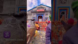 Manzil Kedarnath ho 🕉️❤️ kedarnath kedarnathtemple kedarnathyatra reels osho oshomeditation [upl. by Einiffit]