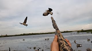 Geese Got WRECKED  North Dakota Early Goose Hunting [upl. by Lerner]