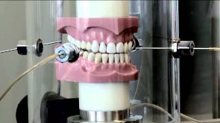 Dental Chewing Machine [upl. by Aloeda]