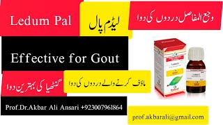 Gout  Joints pains  وجہ المفاصل درد اور گنٹھیا کی دوا Homeopathic medicine Ledum pal Q 3x [upl. by Buchalter]