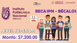 BECA IPNBÉCALOS 2022  Convocatoria  Requisitos Documentación REGISTRO  Becas México [upl. by Salkin350]