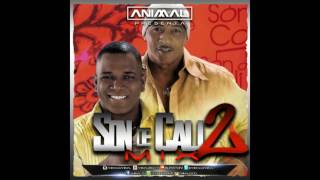 Son De Cali Mix 2  Animal Dj wwwanimaldjco [upl. by Dnomsaj]