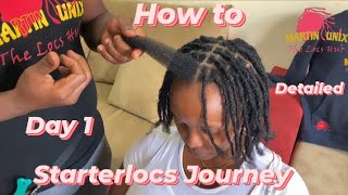 Perfect Starter Locs Tutorial  Interlocking amp Instant Crochet Method [upl. by Siaht]