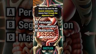 Anatomy and physiology Quiz part 356shorts [upl. by Randell]