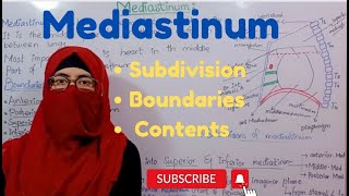 Mediastinum anatomy  subdivision  boundaries  contents  thorax anatomy ayesha medical education [upl. by Dumanian]