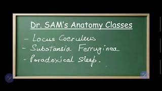 LOCUS COERULEUS  SUBSTANTIA FERRUGINEA  PARADOXICAL SLEEP  Dr Azmi Mohsin [upl. by Scherle322]