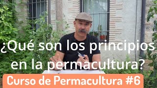 🖐🏼 Los principios de la Permacultura ▷ Curso de Permacultura gratis 6 [upl. by Sikko372]