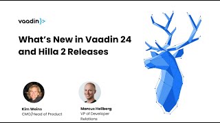 Webinar Whats new in Vaadin 24 and Hilla 2 releases [upl. by Enowtna]