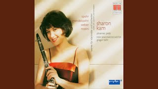 Concerto for Clarinet and Orchestra No 4 in E Minor III Rondo Al Espagnol [upl. by Balsam]