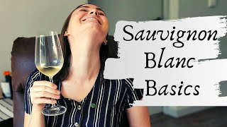 SAUVIGNON BLANC WINE What is Sauvignon Blanc Basic introduction to the regions amp characteristics [upl. by Arej478]