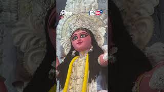 Jagaddhatri Puja  Huge Height of Idols  Sangbad Pratidin [upl. by Ellehcrad764]