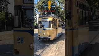 Triebwagen Nr28 der Woltersdorfer Straßenbahn zieht vorbeiaelptramberlinmuseumsbahn [upl. by Ramiah312]