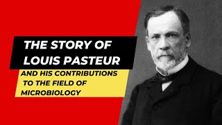 The Story of Louis Pasteur microbiology louispasteur wine fermentation vaccine science [upl. by Daffi]