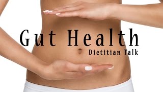 Gut Health  Dietitian Talk  Vlogmas Ep 13 [upl. by Anytsyrk]