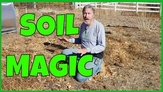 How to Transform Bad Soil Into Good Soil [upl. by Anaerdna505]