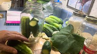 Homemade Pickles Two Ways l Crisp Dill Pickle Recipe l Fermented Pickles [upl. by Audi]