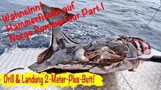 Hammerfische in Norwegen Sommertour 2024 [upl. by Ammadis]