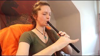 Drunken Sailors Hornpipe  Tin whistle Bb  tutorial [upl. by Cyd]