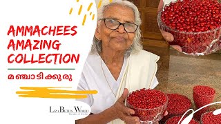 Manjaadikkuru  മഞ്ചാടിക്കുരു  Red Lucky Seed  Adenanthera Pavonina  Kerala Village Life [upl. by Wanonah]