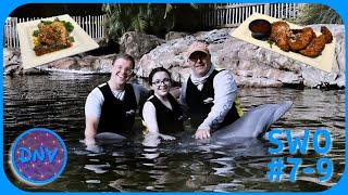 SeaWorld Orlando amp Discovery Cove Family Vacation  SWO 79 UO 42 WDW 179 6212324 [upl. by Ennaihs]