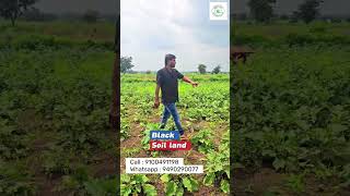 2 Acres land near Shadnagar 📍sravanagriculturallandsfarmlandrealestate [upl. by Llednek807]