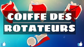 Anatomie du membre supérieur  Coiffe des rotateurs [upl. by Nnyltiac]