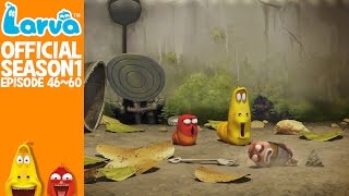 Official LARVA Season 1 Episode 46  60 [upl. by Leong]