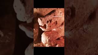 GÖBEKLİTEPE ASLINDA TAPINAK DEĞİL MİYDİ   HAKAN YEDİCAN gobeklitepe antiktarih antikdünya [upl. by Floyd]