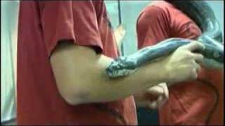 Coastal Carpet Python at Snakes Alive 2008 [upl. by Nwhas]