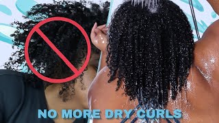 NO MORE DRY NATURAL HAIR These Ultimate Moisturizing Conditioners Change Type 4 Natural Hair [upl. by Olnek]