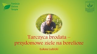 Walcz z boreliozą  Tarczyca brodata [upl. by Ruenhcs]