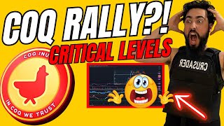 COQ INU MEME COIN RALLY CRYPTO Price Prediction News Today [upl. by Lyckman]