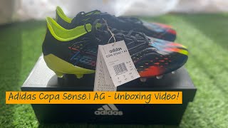 Adidas Copa Sense1 AG Football Boots  World Cup 2022 Pack 1 4K Video [upl. by Clyve]