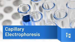 Capillary Electrophoresis Principle and applications [upl. by Hoskinson]