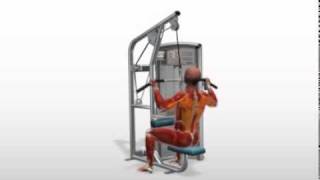 Exercise Videos Lat Pulldowns [upl. by Attwood499]